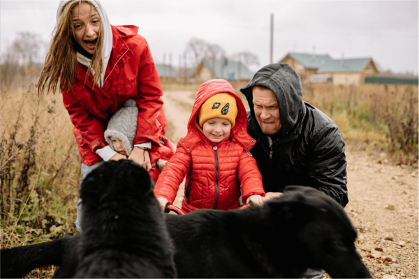 an image of a family having fun with dogs